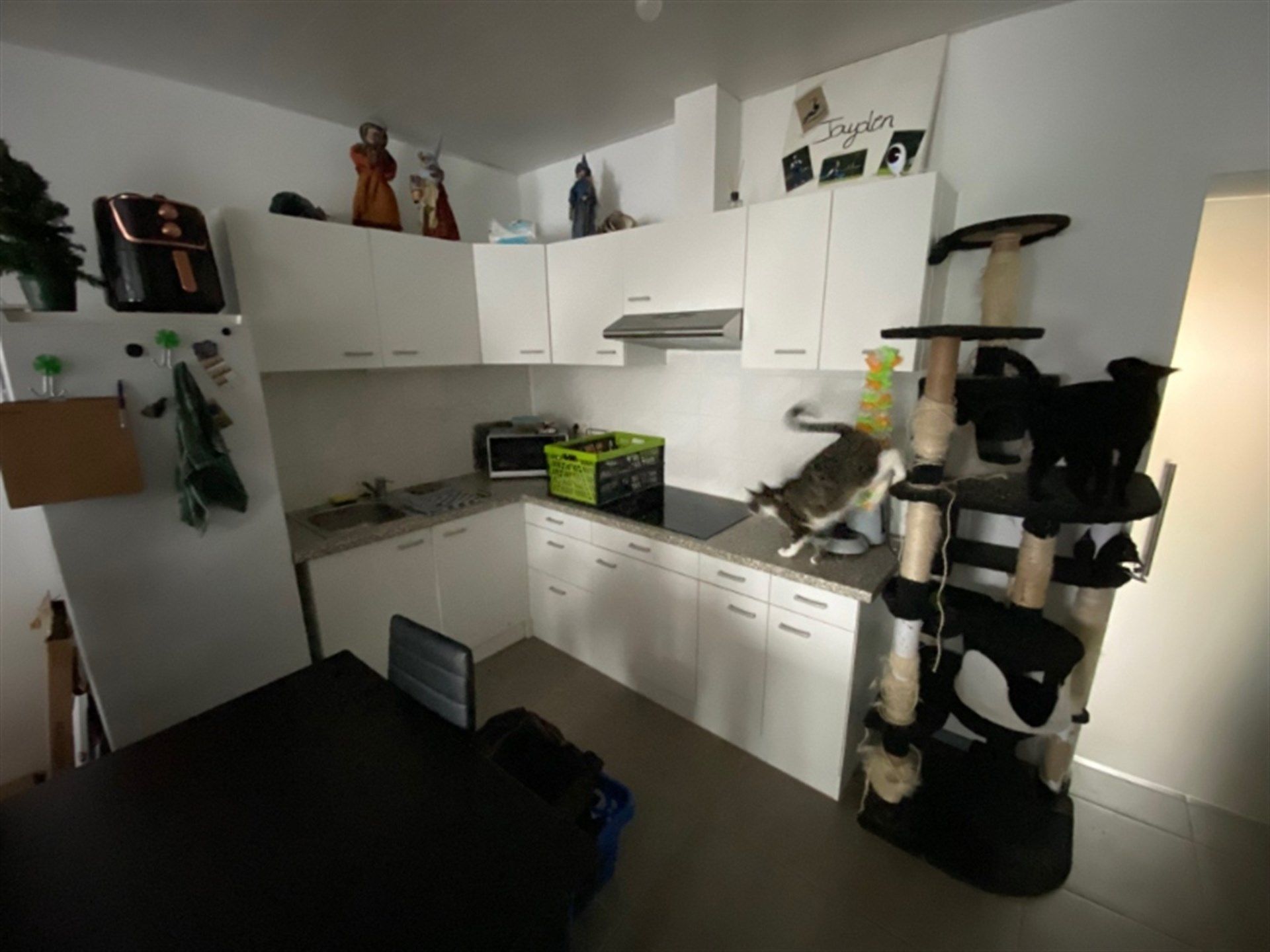 Woning met 2 slaapkamers nabij station van Erembodegem foto 5