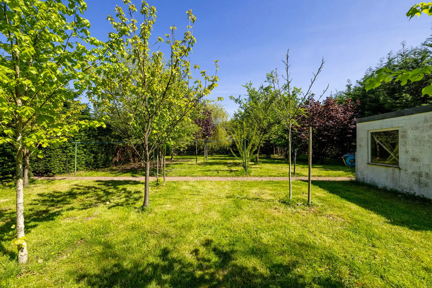 Ruim landhuis op ca. 3010 m² grond met ca. 736 m² bew.opp. foto 44