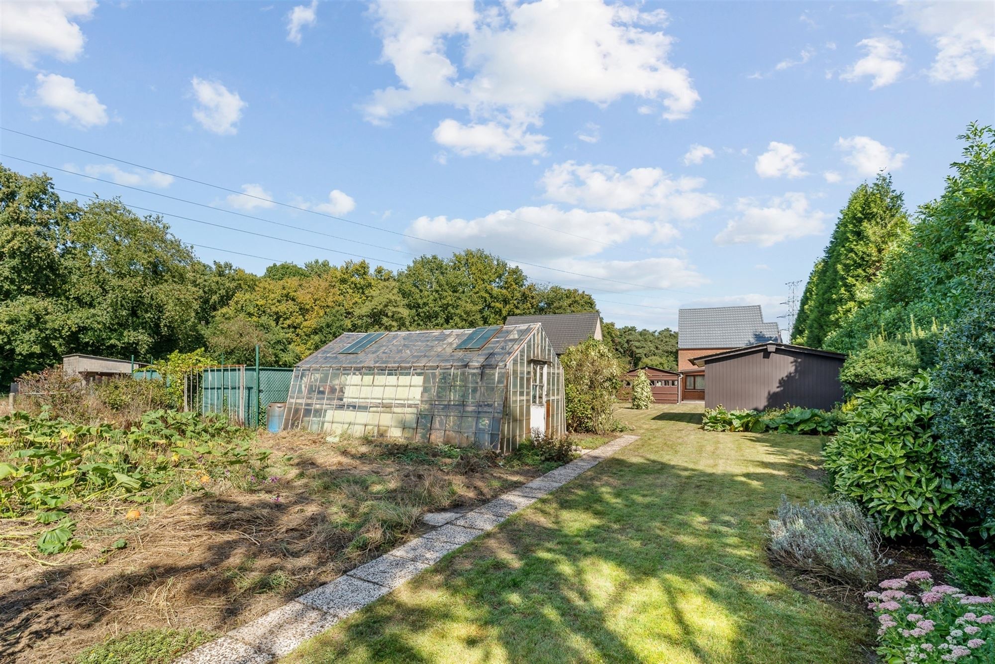 OP TE FRISSEN WONING MET 3 SLAAPKAMERS, SUPER RUSTIG GELEGEN OP EEN PERCEEL VAN 10A TEMIDDEN VAN HET GROEN TE HAM foto 22