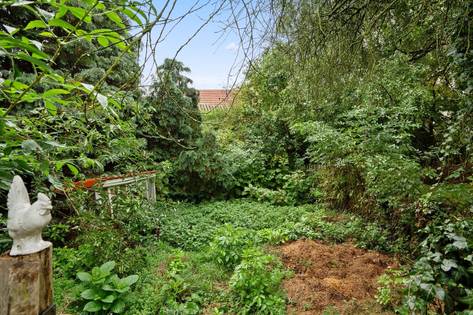 Geklasseerde te renoveren hoeve foto 27