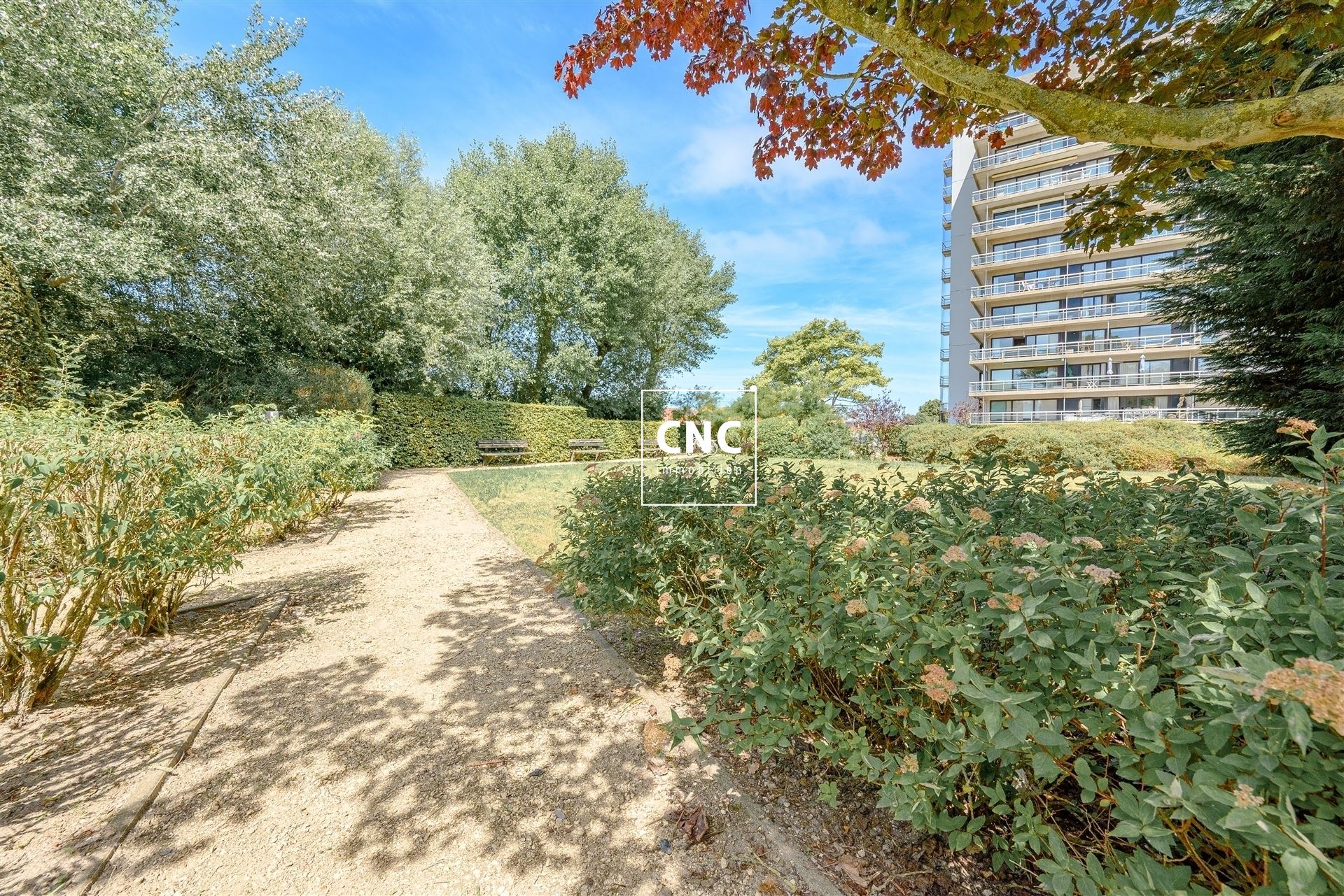 Studio met prachtig open zicht op het meer in Duinbergen foto 19