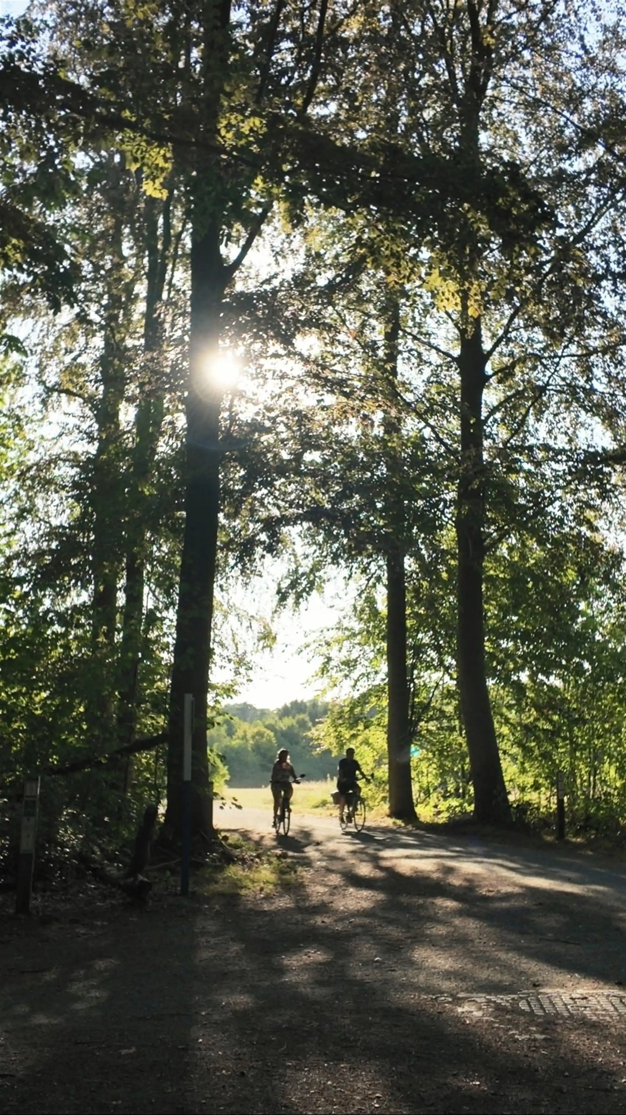 Bouwgrond op een uitzonderlijke locatie in Oud-Heverlee foto 6