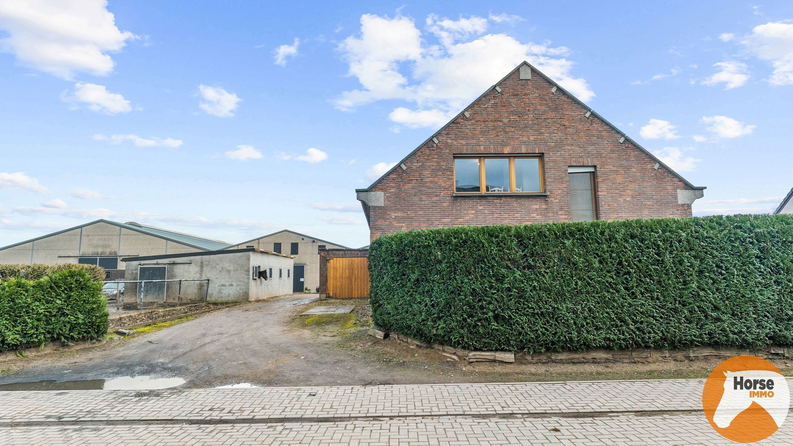 KAMPENHOUT - Professionele paardenaccommodatie op 4ha28 foto 13