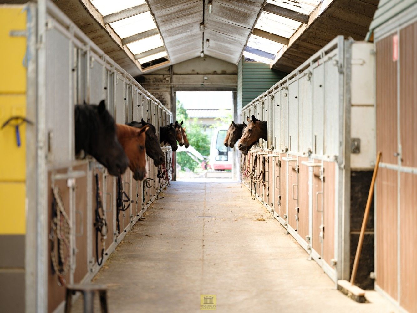 Uitzonderlijk pand - manege met gastenverblijf foto 7