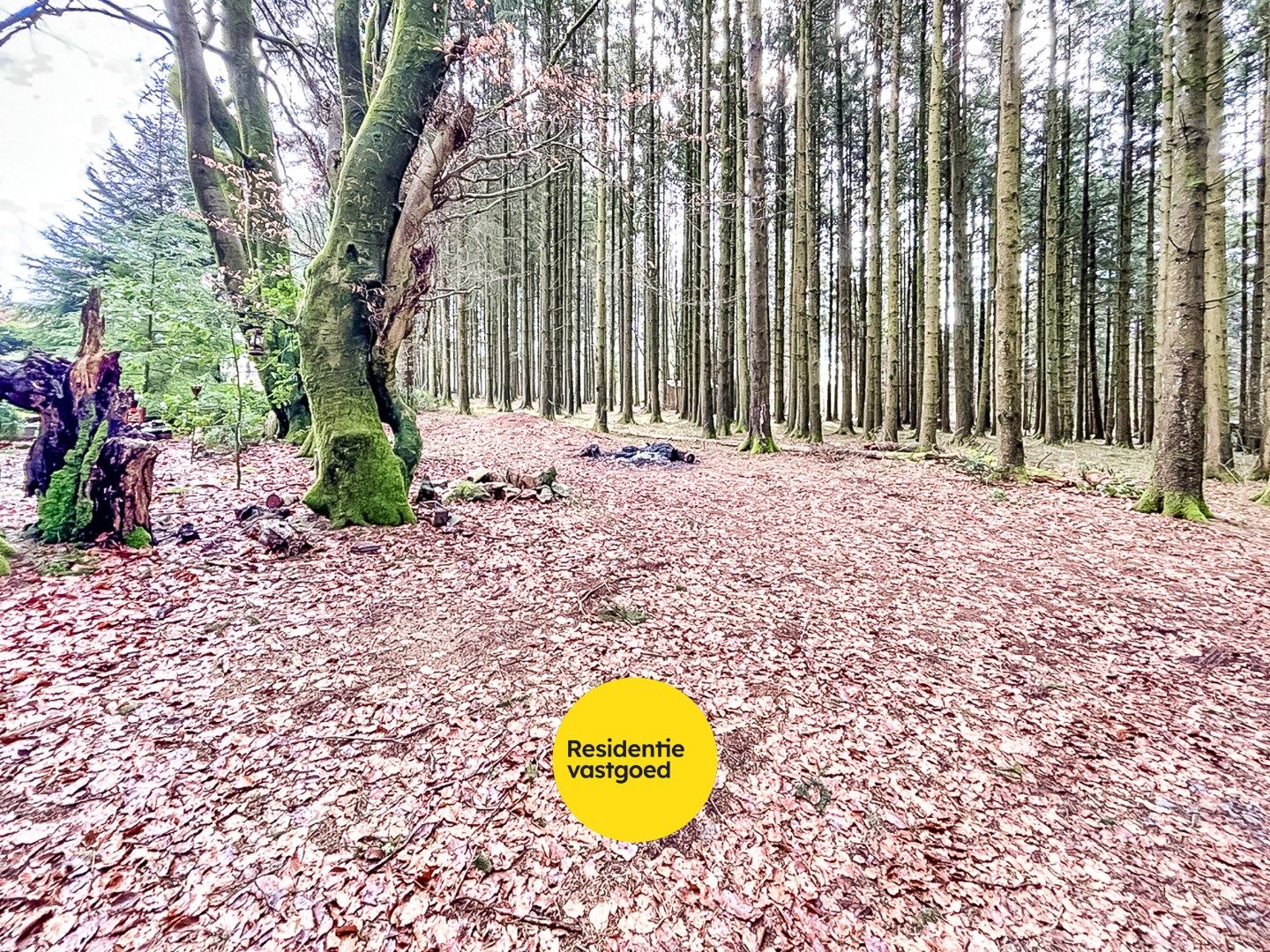 KIJKDAG zaterdag 6/12 van 14u tot 16u, op afspraak! foto 18