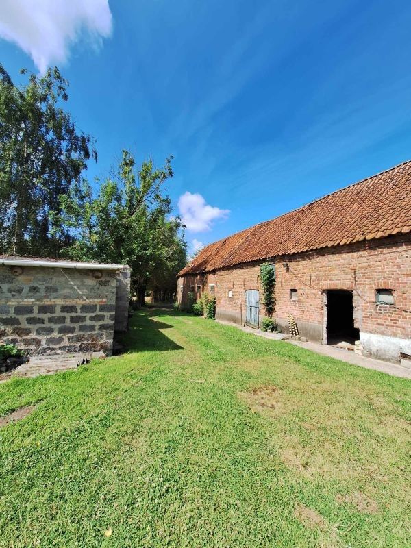 Afzonderlijk gelegen hoeve te koop op 3,66 ha te Zedelgem - Veldegem foto 4