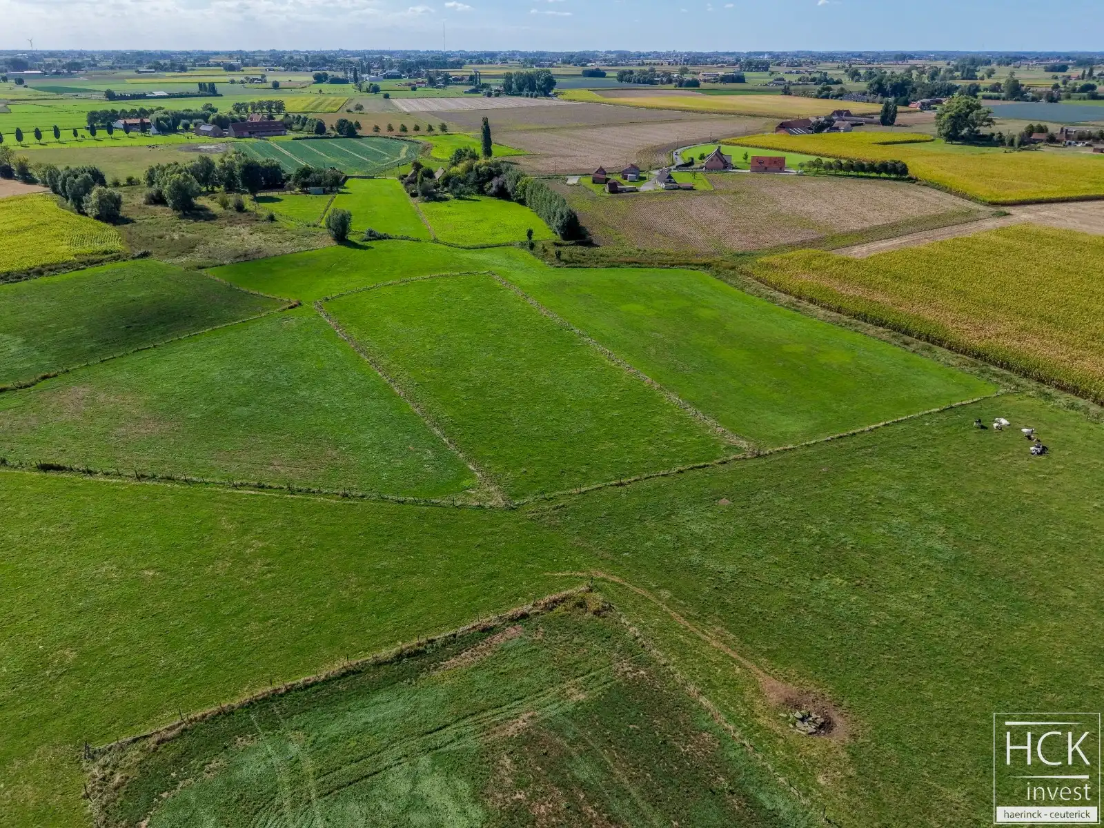 RUISELEDE - Twee percelen landbouwgrond, geheel van 12.880 m² groot foto 4