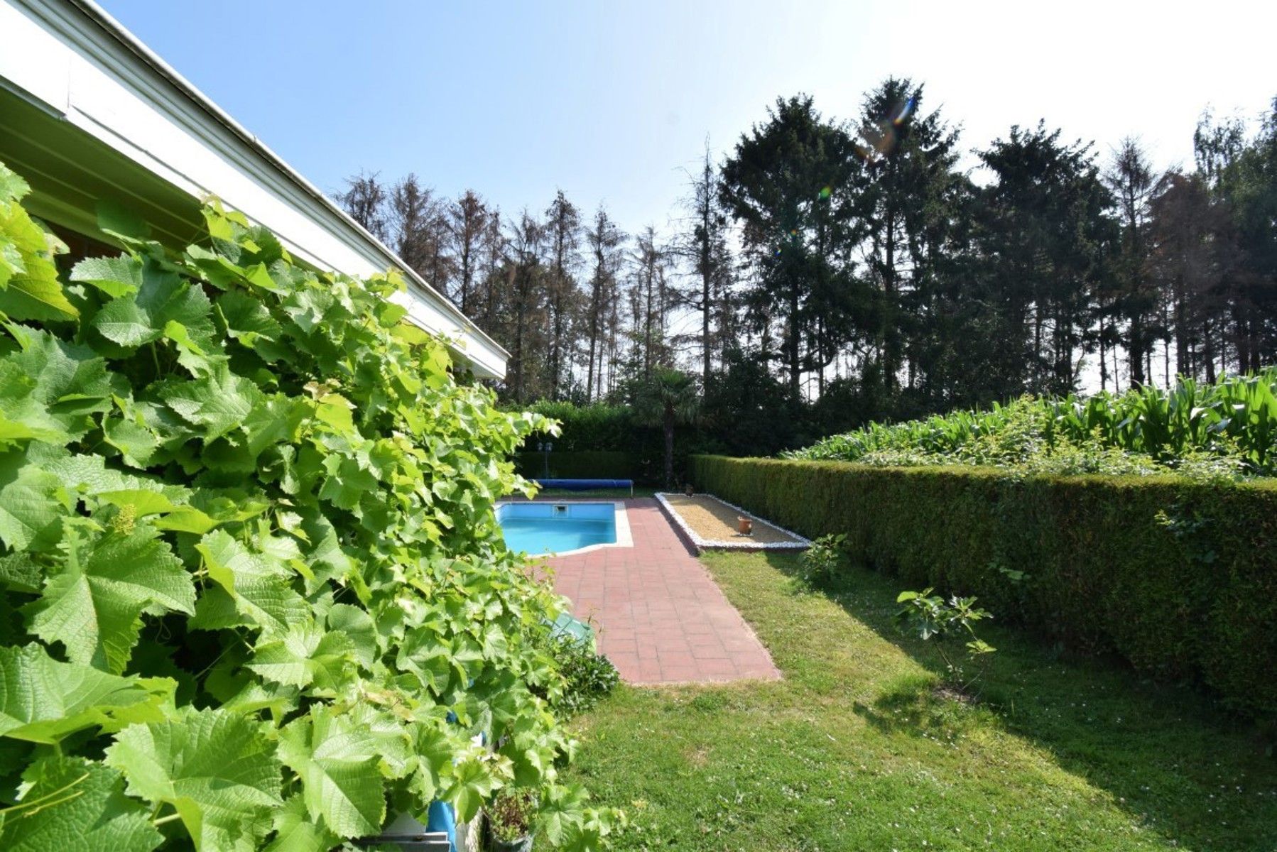 Ruime villa met 5 slaapkamers en zwembad foto 28