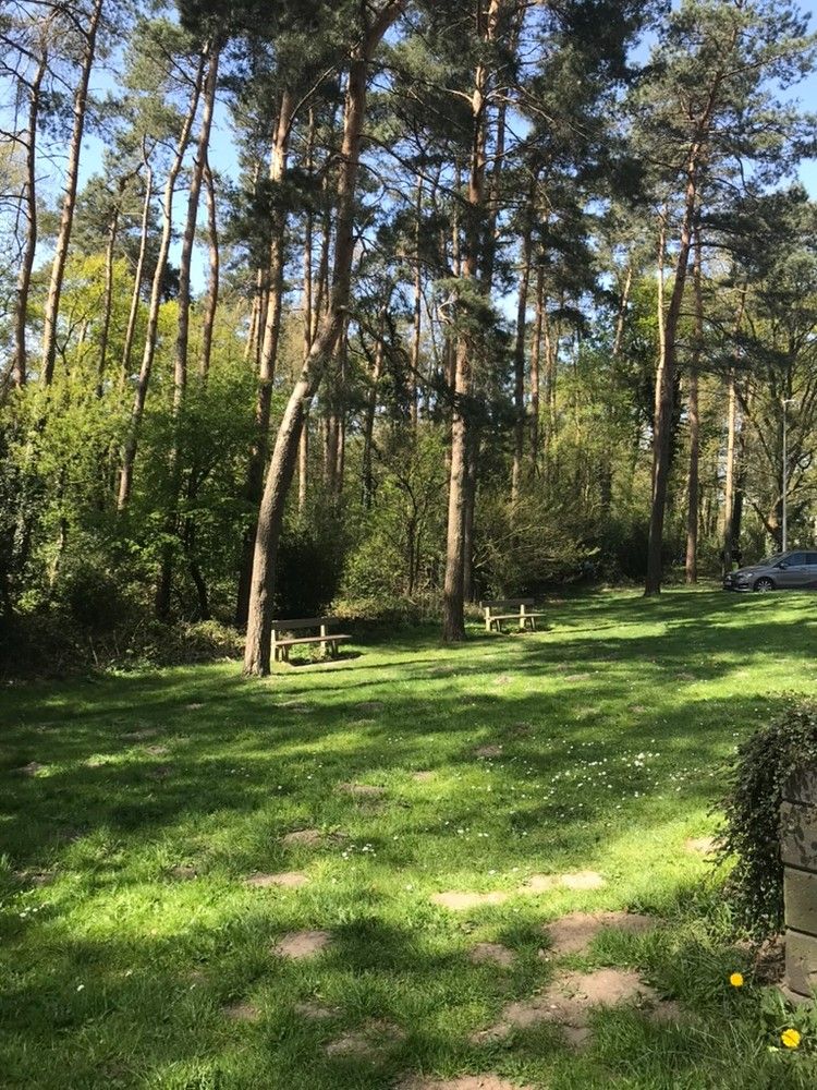 Genk, Zonneweeldelaan 21/25. Instapklaar, ruim appartement (100 m2) met 3 slaapkamers, ruim terras en kelderberging. foto 17