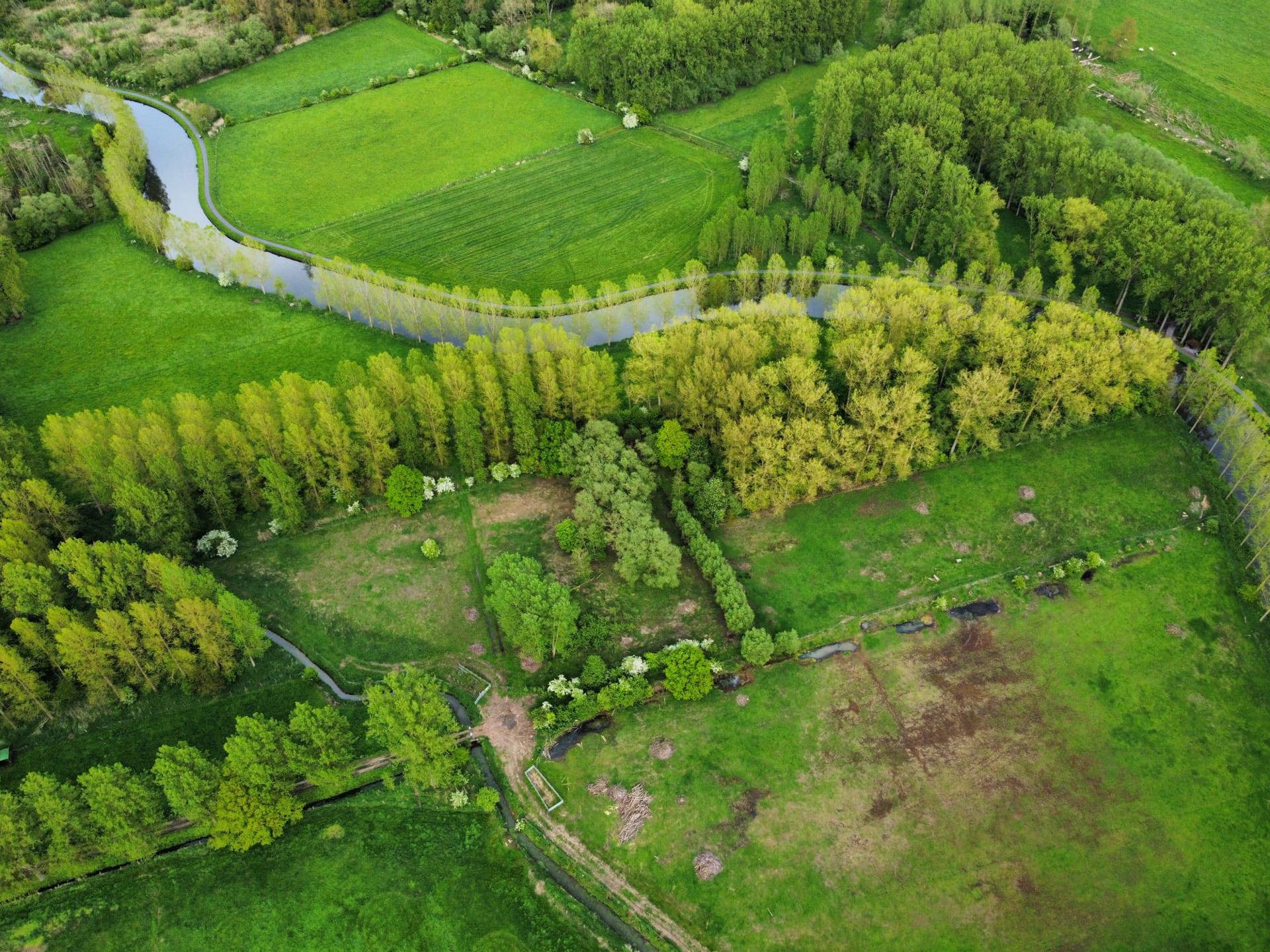 Natuurgebied te koop te Appelterre-Eichem (Ninove) foto 4