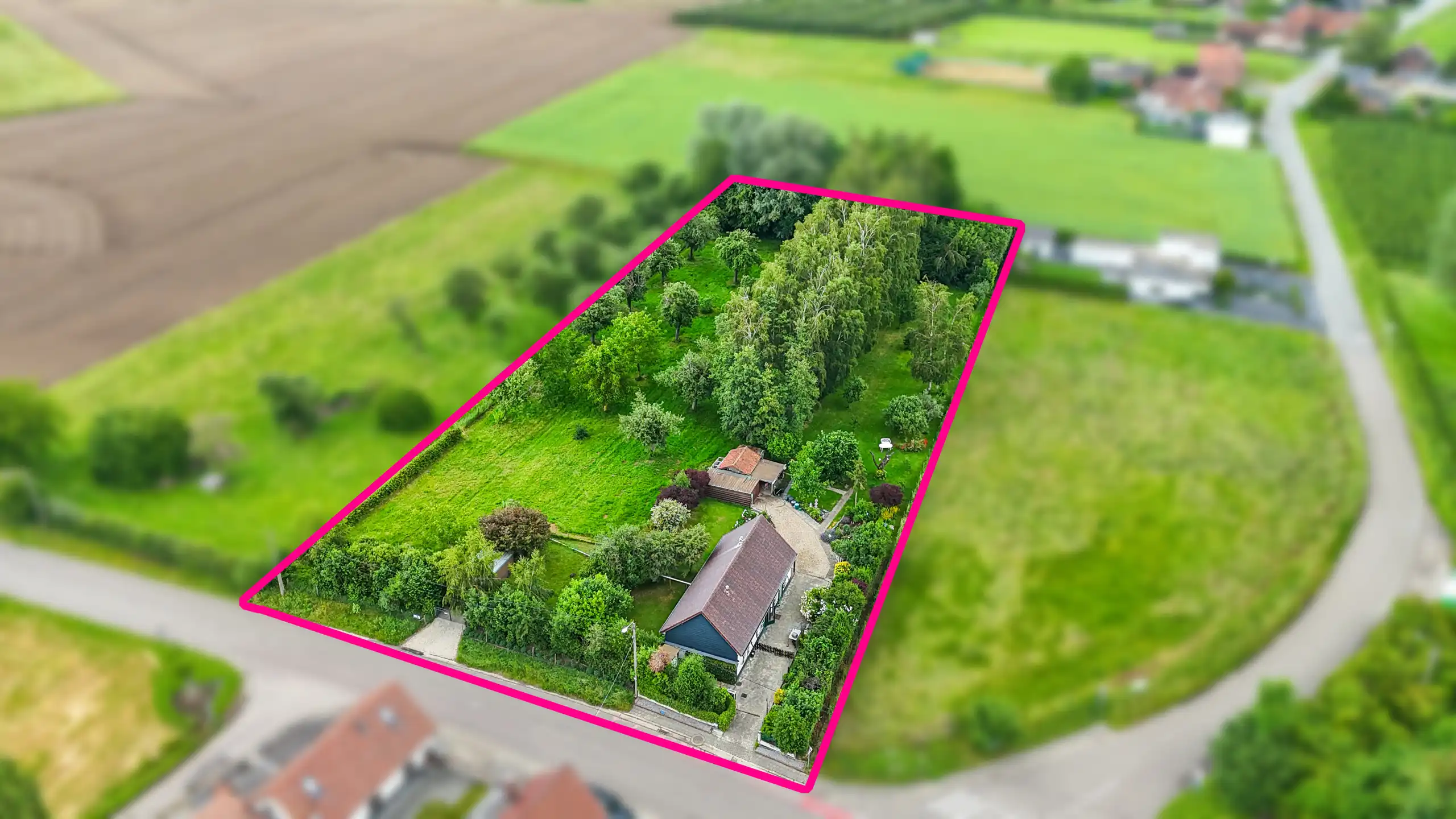 Authentieke hoeve met perceel van 68are en 2slpks! foto 64