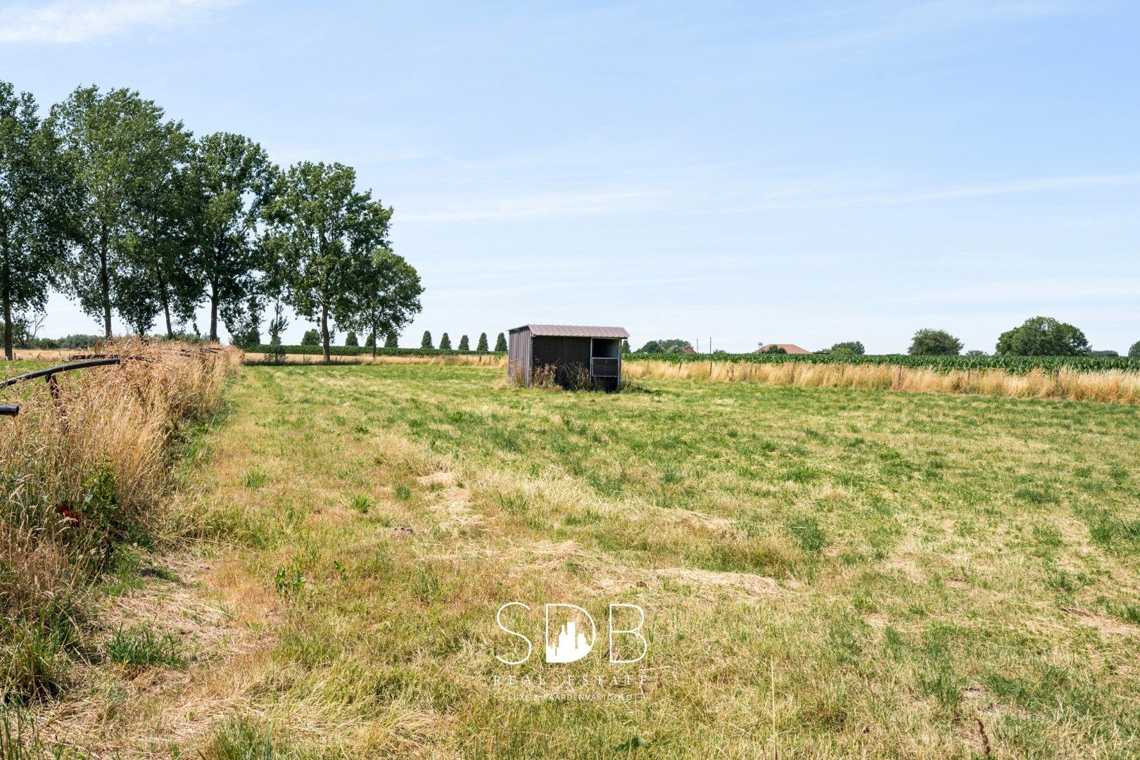 Charmante hoeve met bijgebouwen en graslanden op 27.559m² foto 22