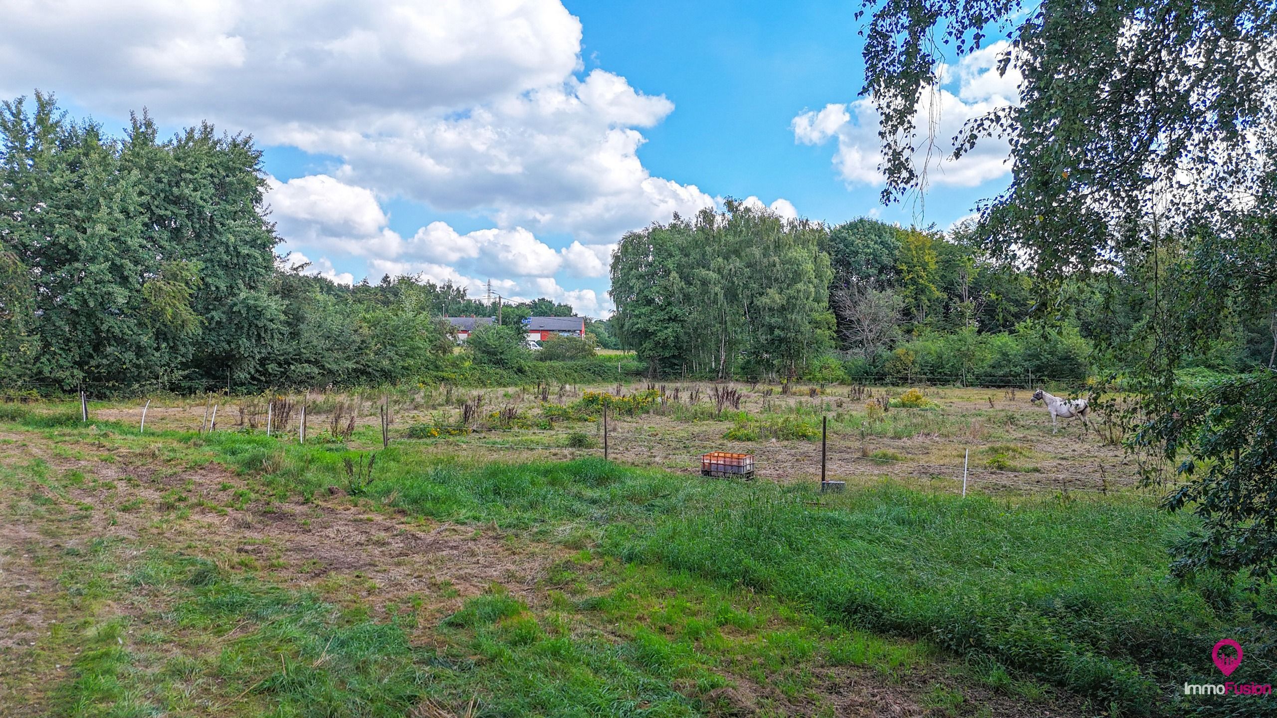 Prachtige weide voor paarden van meer dan 3ha te Heusden! foto 4