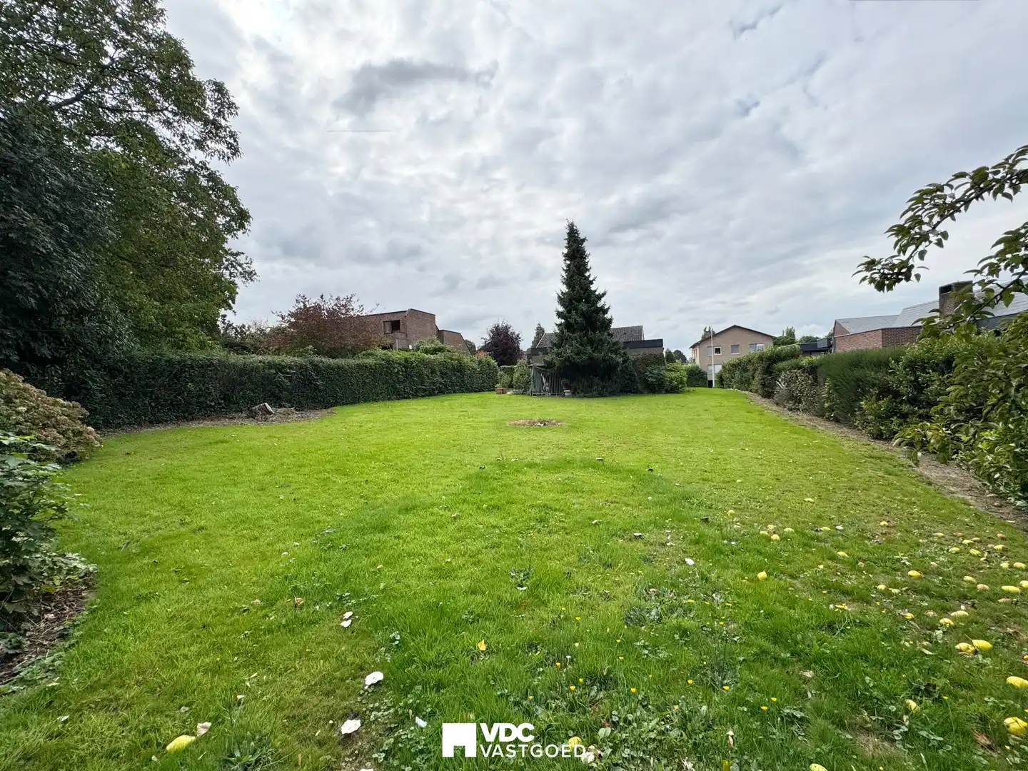 Ruime open bebouwing met prachtige tuin en veel potentieel foto 20