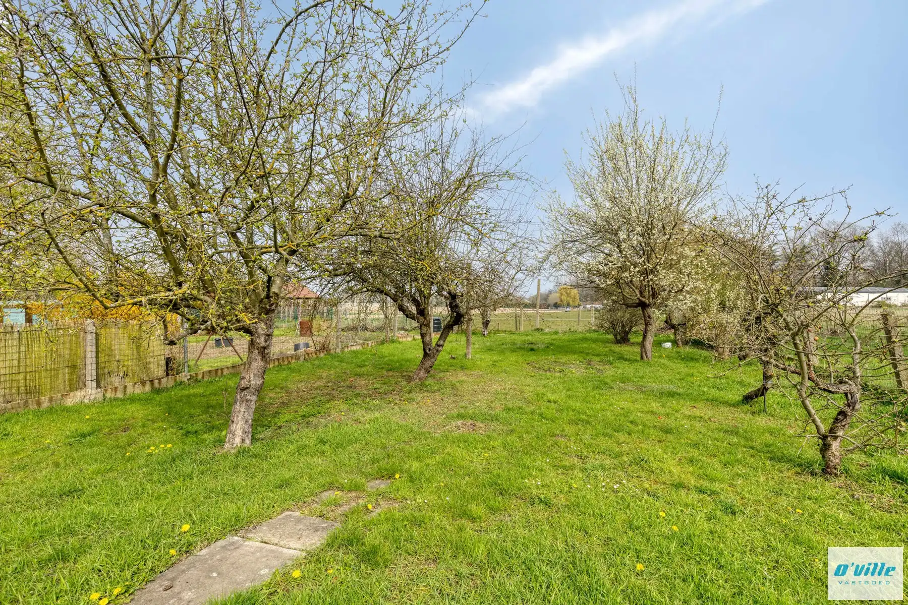 Charmante karakterwoning met grote tuin foto 18