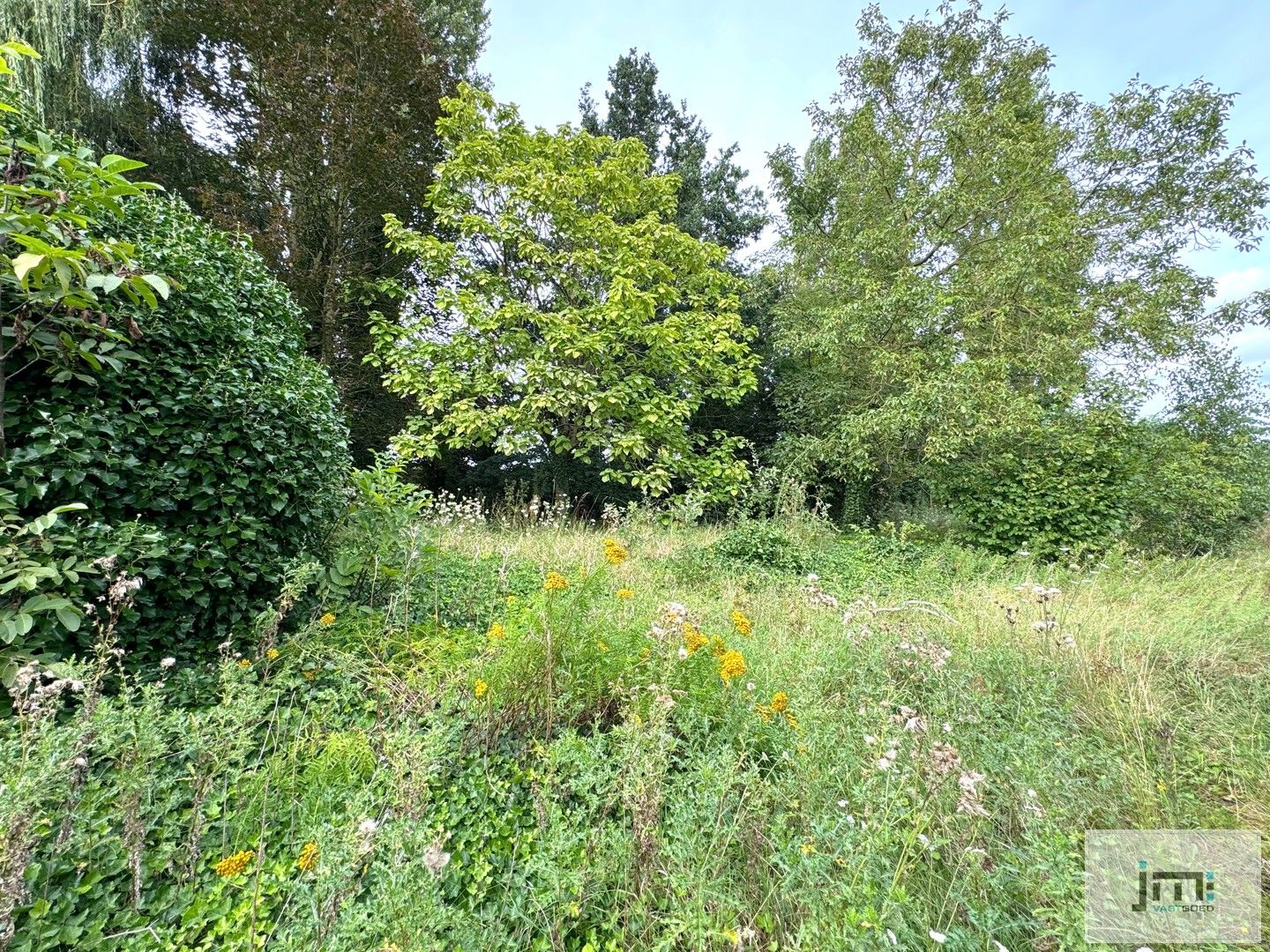 Huis met kantoor, stallingen en grote tuin foto 14