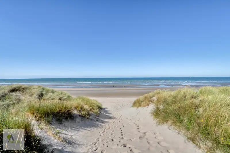 “KAAP DE GOEDE HOOP” foto 20