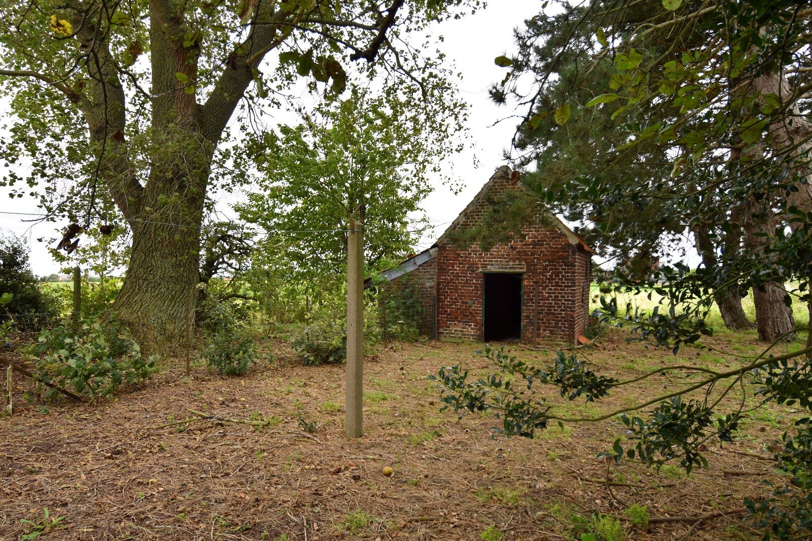 Hoeve op 11.106 m² te koop in het landelijke Spiere-Helkijn foto 8