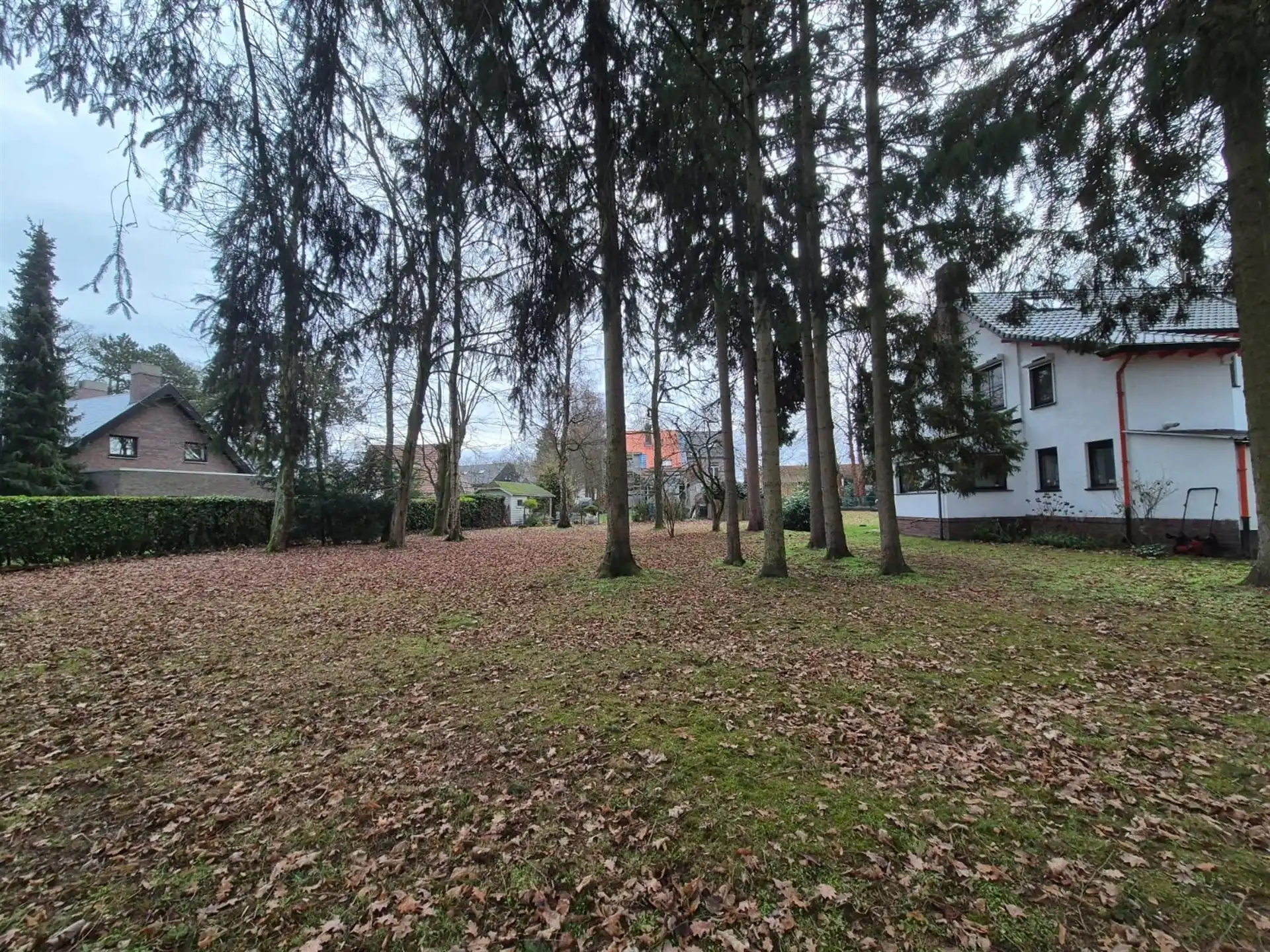 Ruime woning met 3 slaapkamers gelegen in een groene omgeving. foto 29