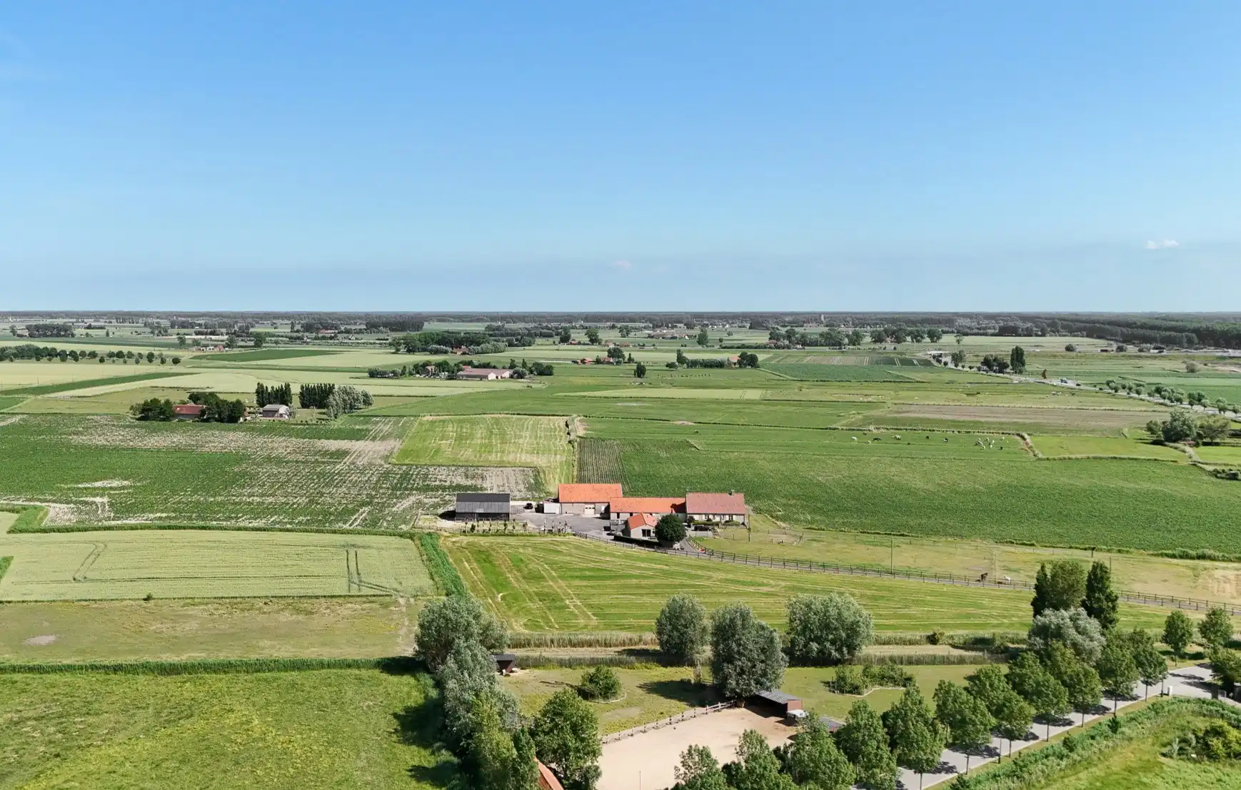 Een buitenkans voor paardenliefhebbers foto 5