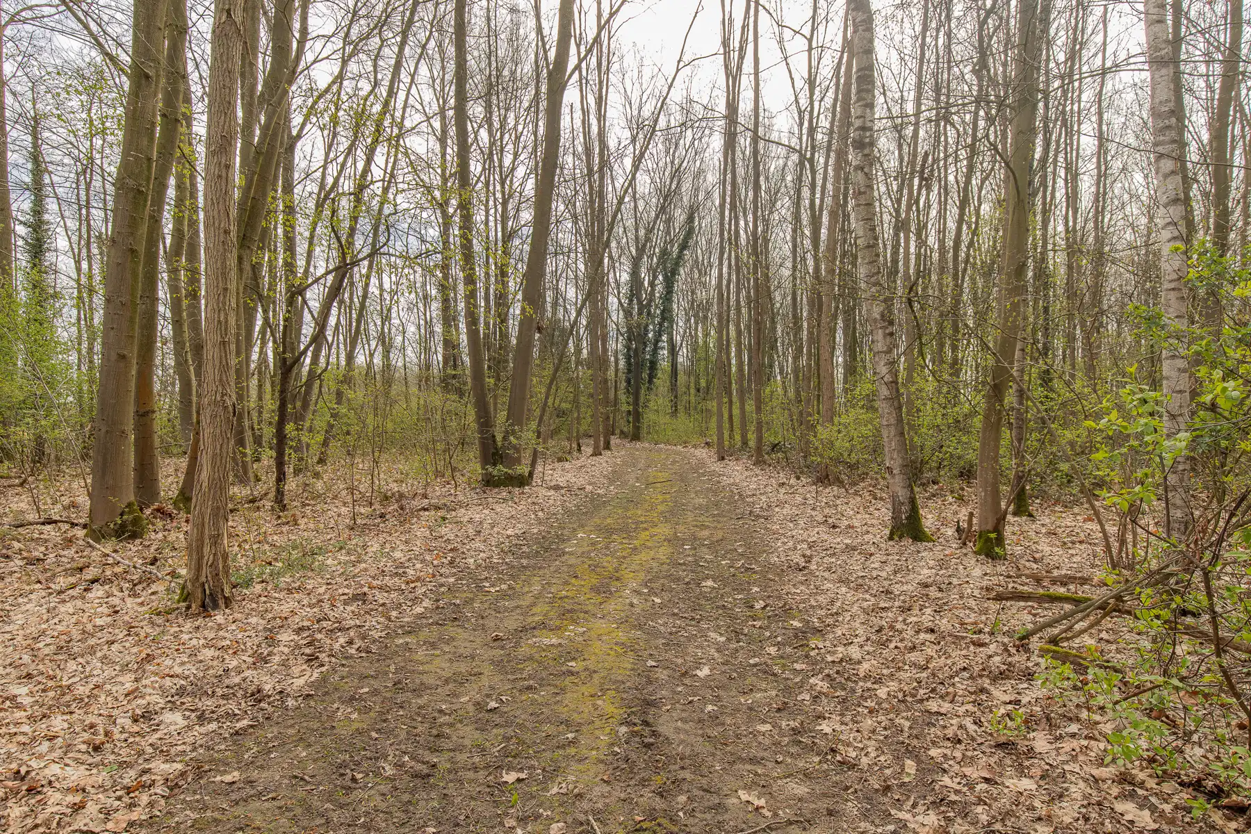 Woning op unieke ligging van 5 hectare foto 23