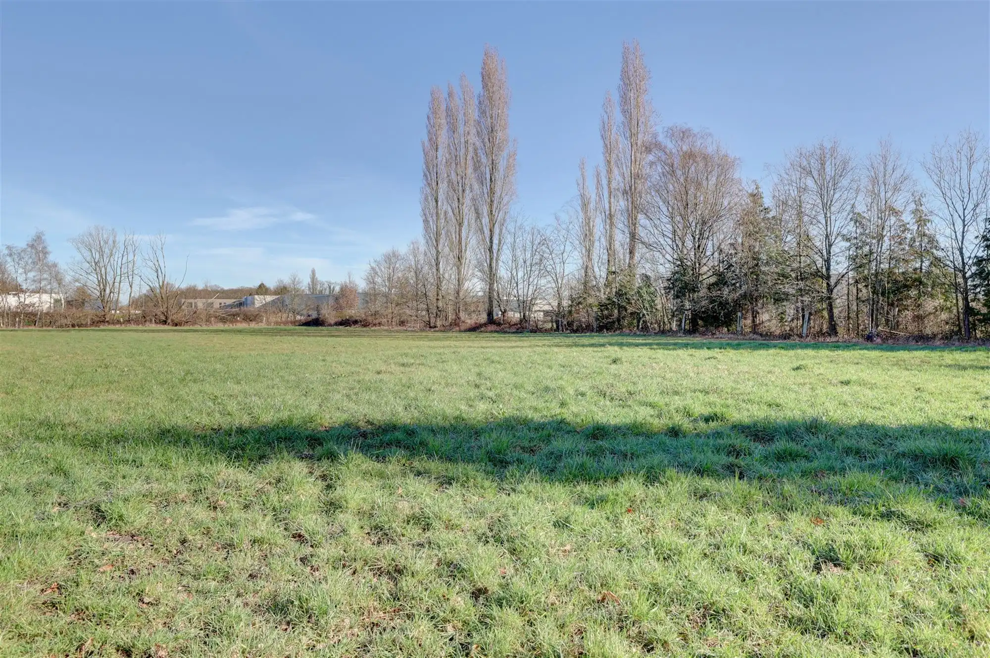 Idyllische paardenweide / bosgrond in Bonheiden foto 4