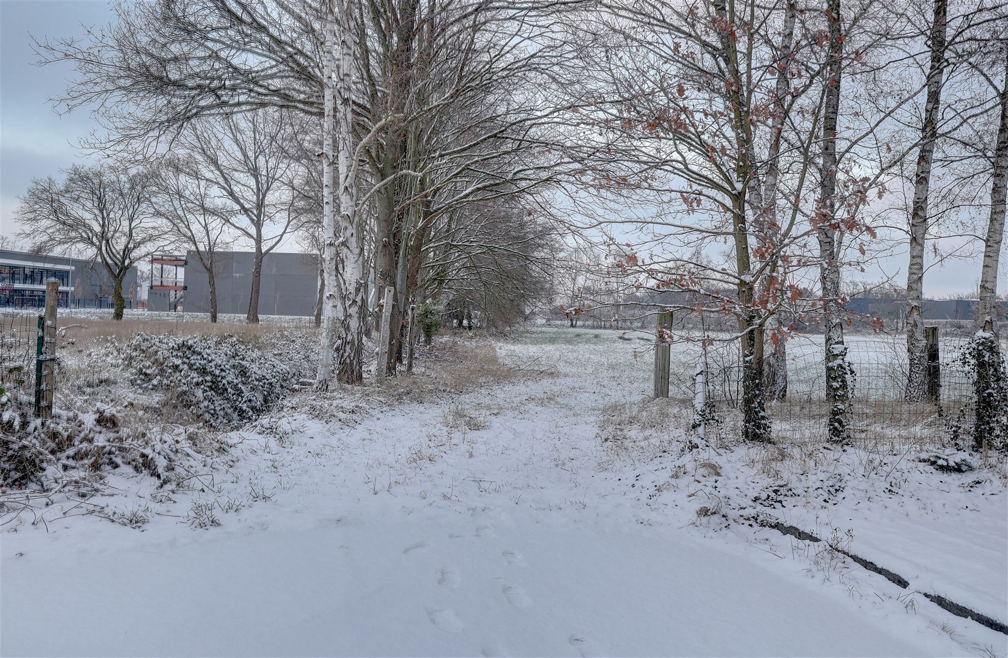 Idyllische paardenweide / bosgrond in Bonheiden foto 4