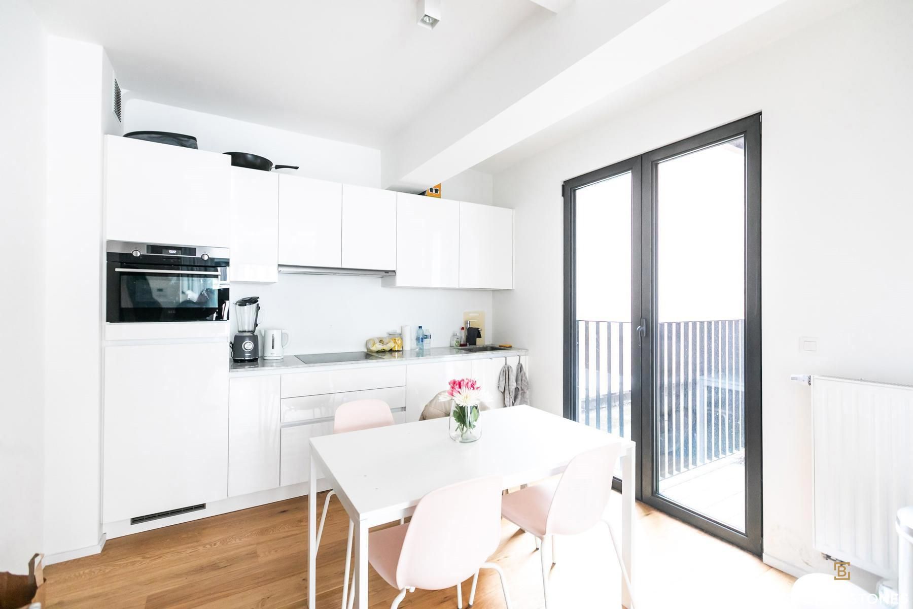 Gerenoveerd 1-slaapkamer appartement met terras nabij Nachtegalenpark foto 3
