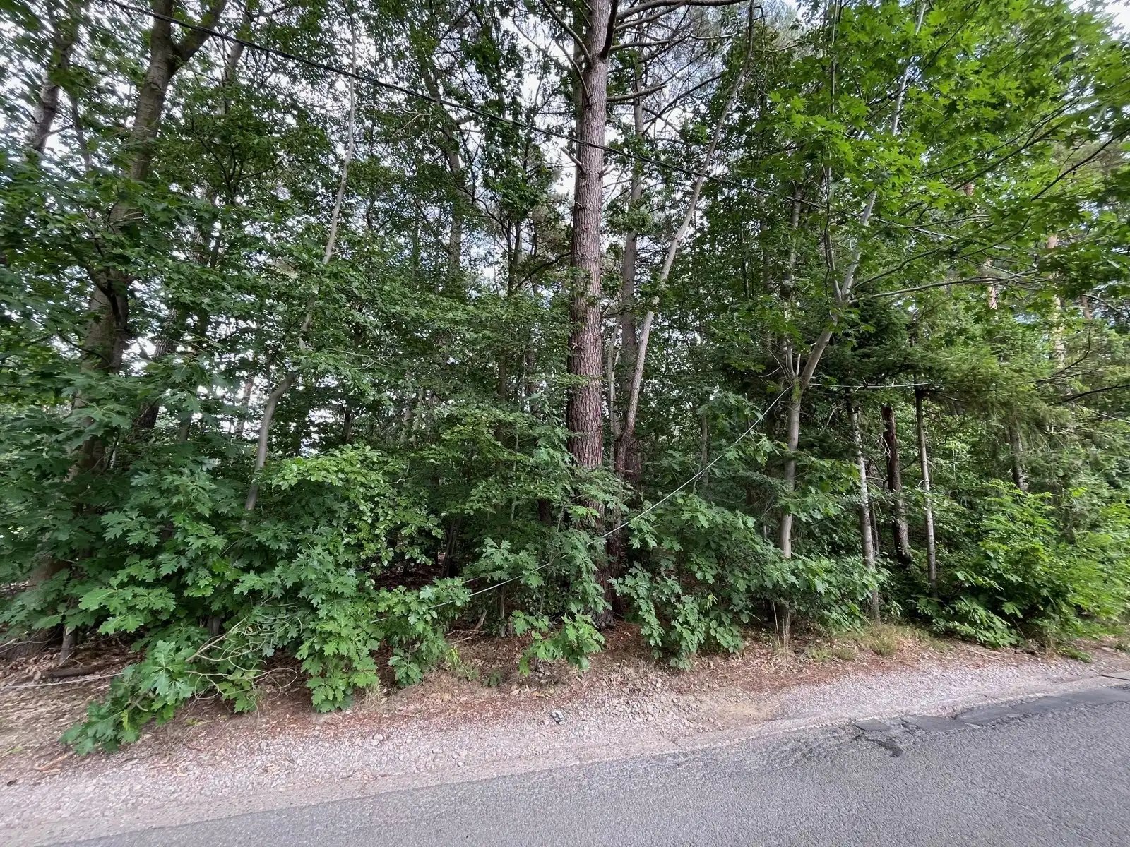 Bouwgrond voor open bebouwing 1.567m² foto 4