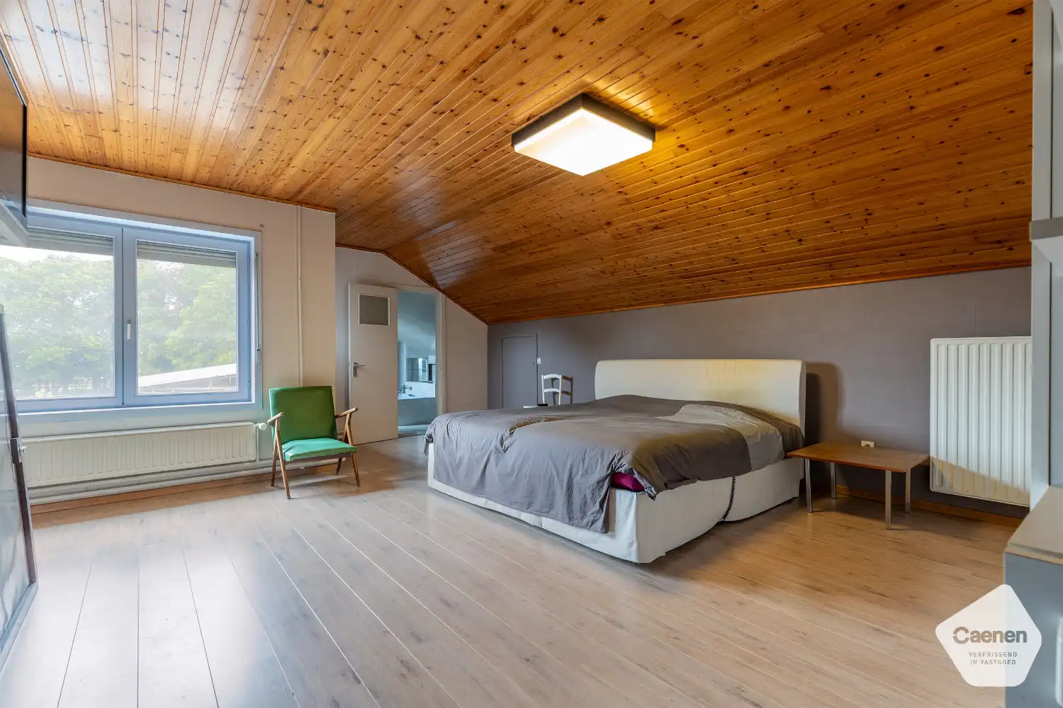 Uitzonderlijk ruime eigendom met wonen en werken onder één dak foto 8