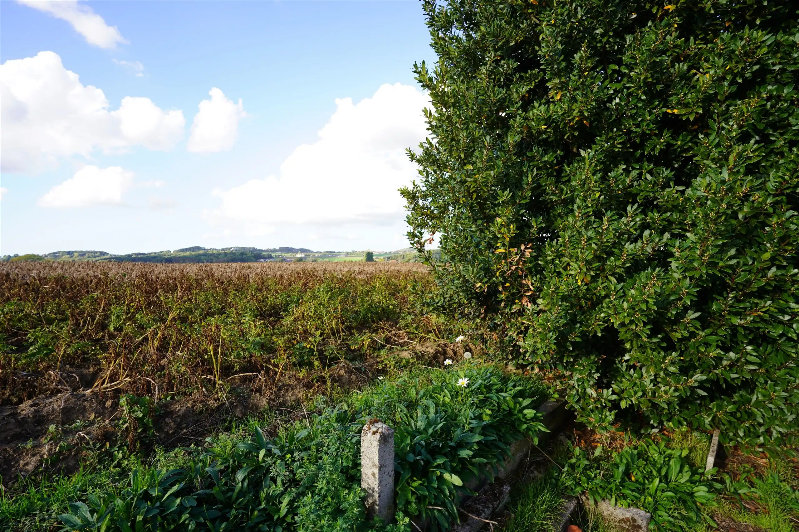 Exclusief bouwen met eindeloos zicht over Heuvelland! foto 15