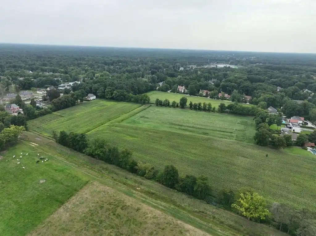 5 hectare landbouwgrond te Zoersel (Sint-Antonius) foto 3