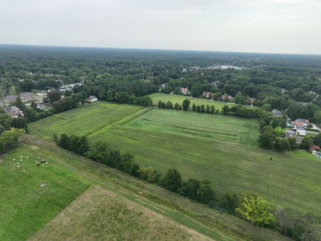 5 hectare landbouwgrond te Zoersel (Sint-Antonius) foto 3