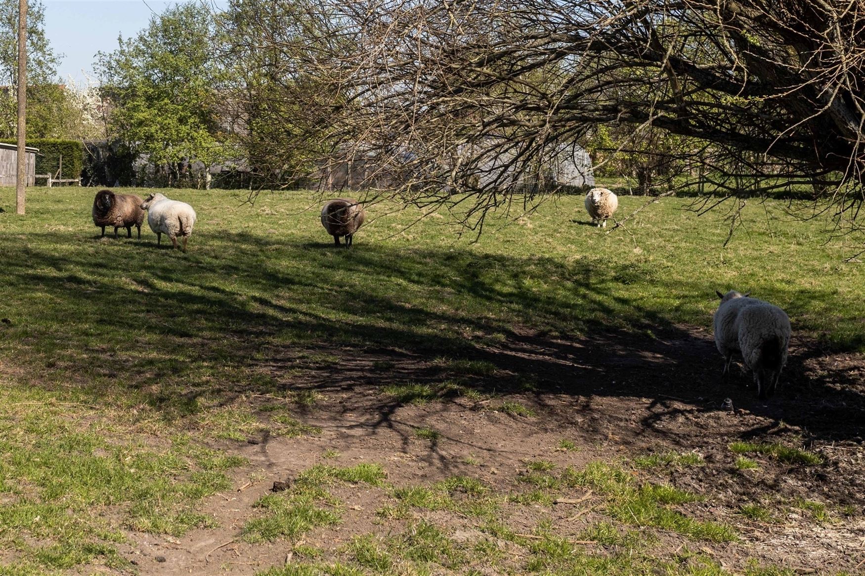 Uniek gelegen hoeve met bijgebouwen foto 7