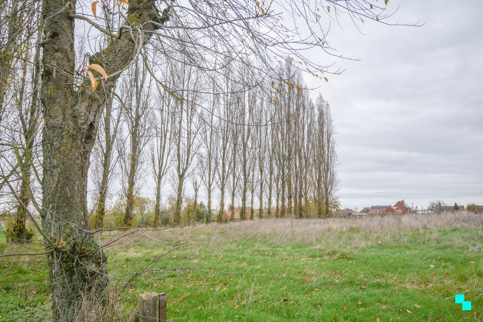 Landelijk gelegen nieuwbouw villa te Zonnebeke foto 5