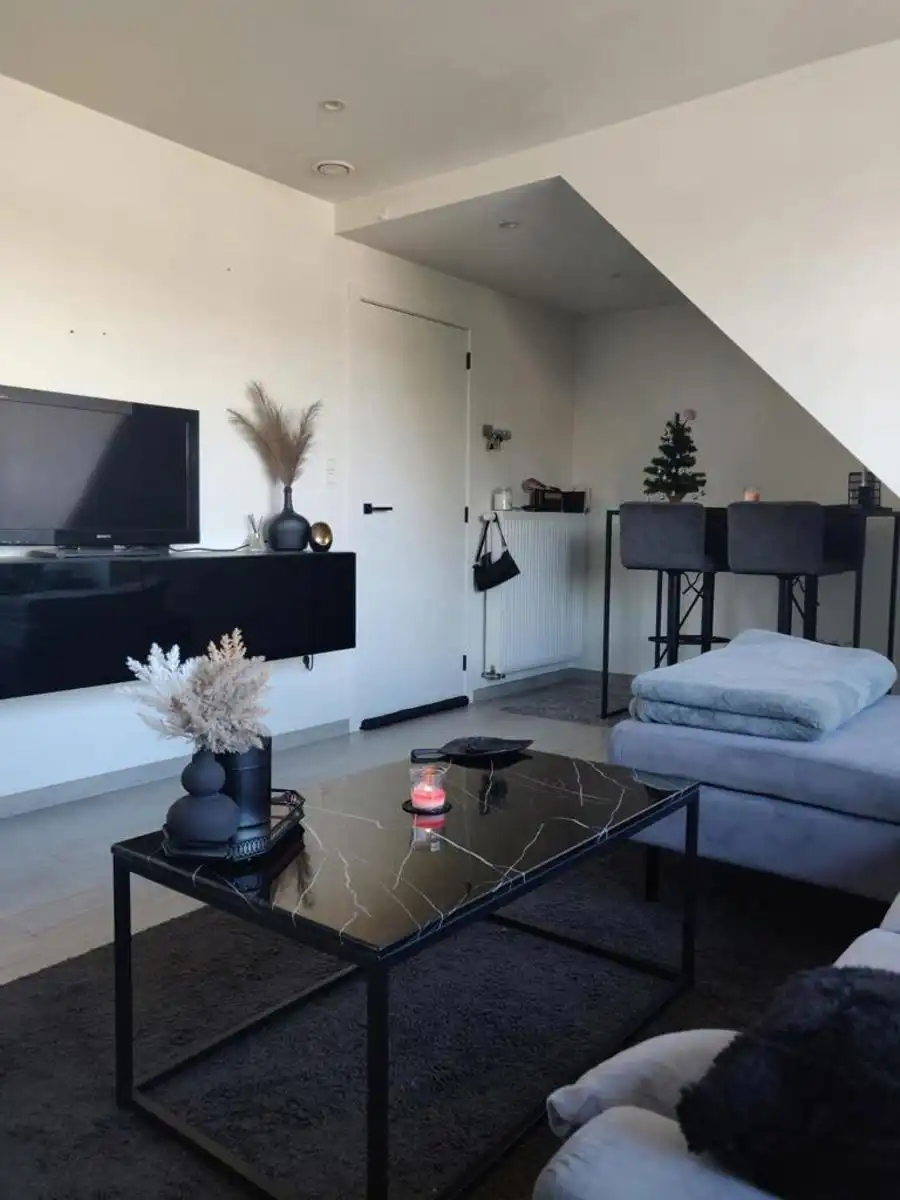 Recent appartement te Branst nabij Scheldedijk foto 3