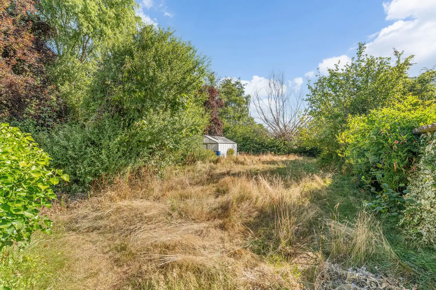 Karaktervolle woning met tal van mogelijkheden op een rustige ligging in Diepenbeek foto 10