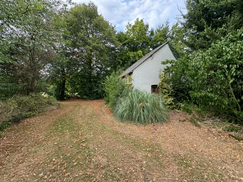 Te renoveren langgevelwoning met veel potentieel op ruim perceel in Herselt foto 8
