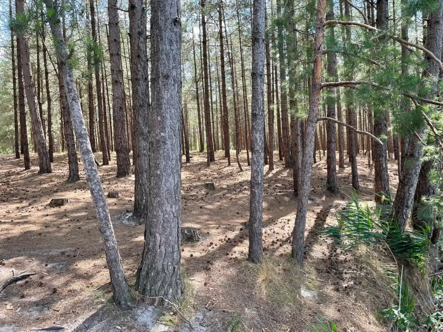 Dubbele woonst op 3000m²  met uitzicht op natuur en water foto 7