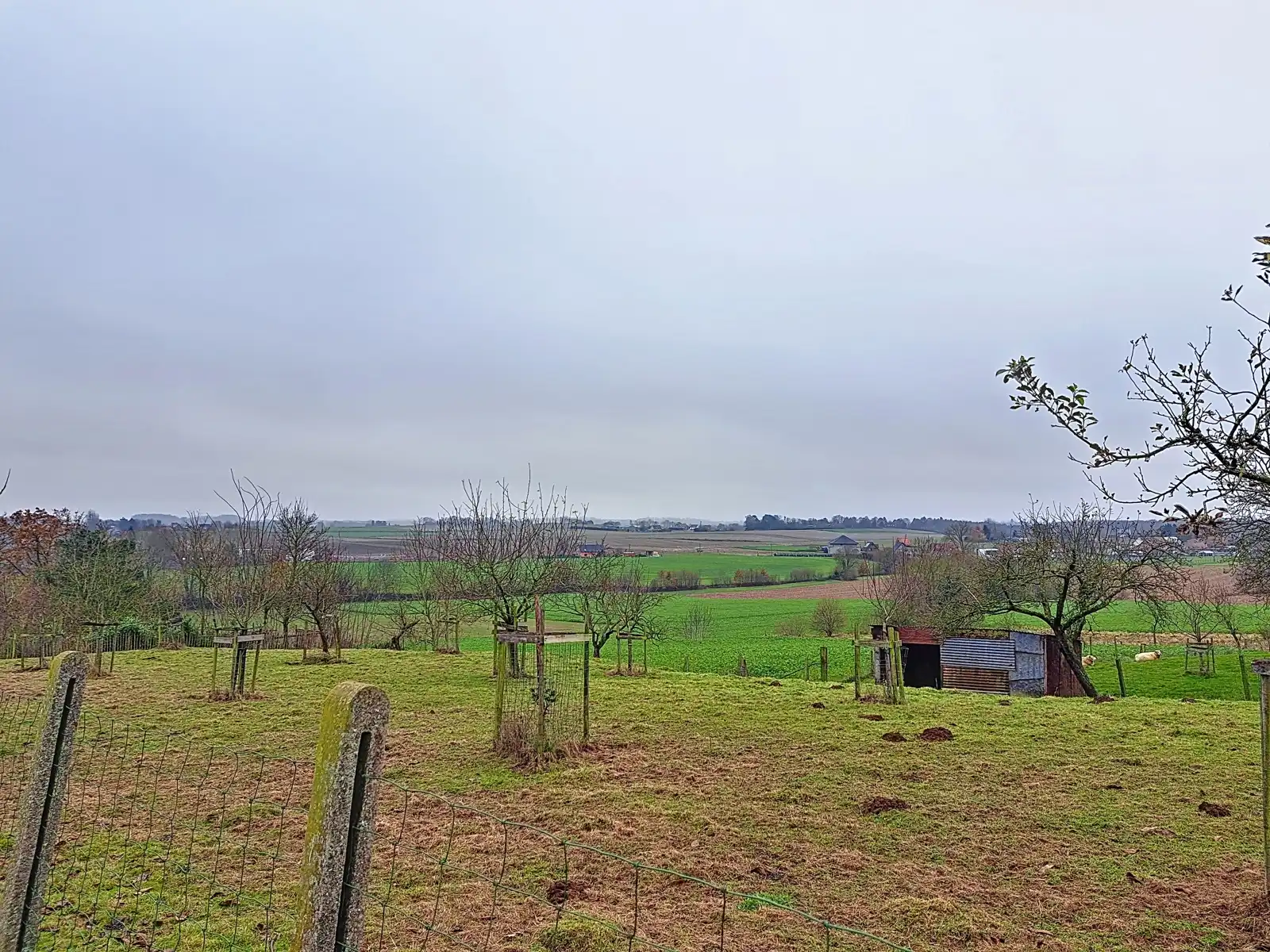 Villa te huur foto 11