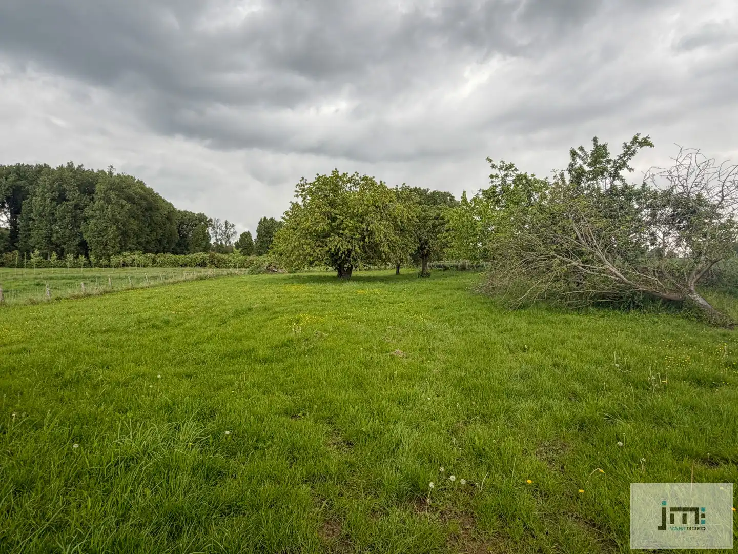 Woning met grote stallen foto 19