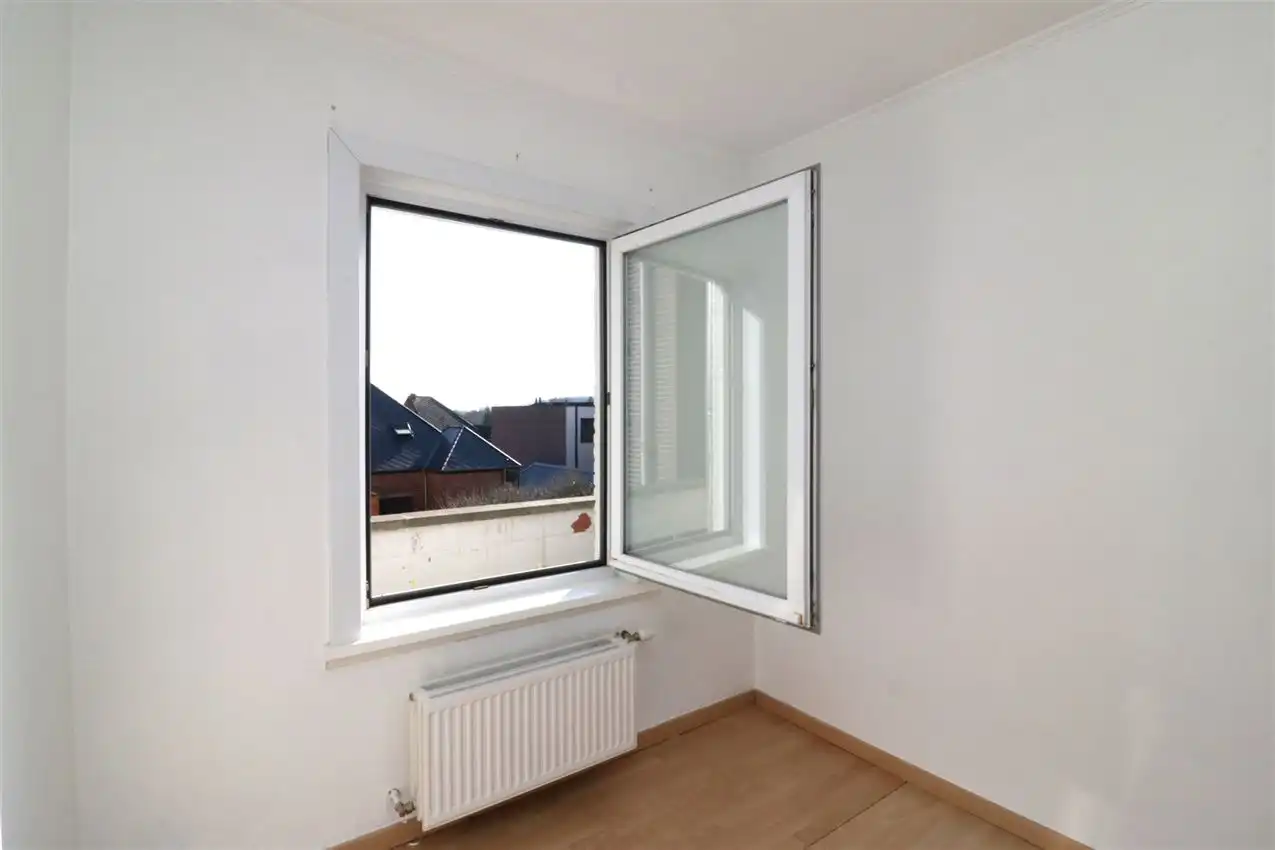 charmant, ruim, mogelijkheid beroep of kangoeroe foto 46