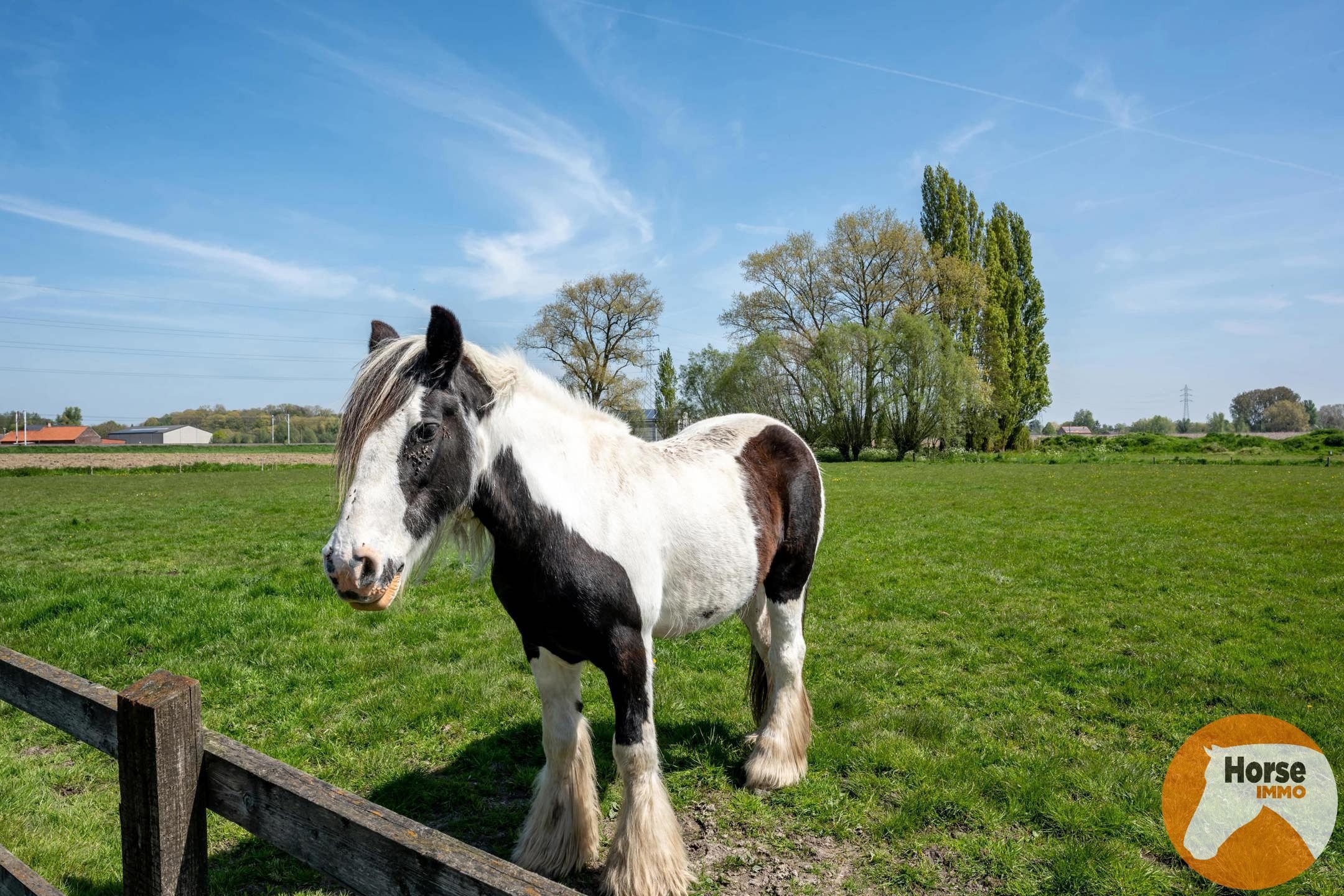 PITTEM - Landelijke Hoeve met Bijgebouwen op 1ha82a62ca foto 41