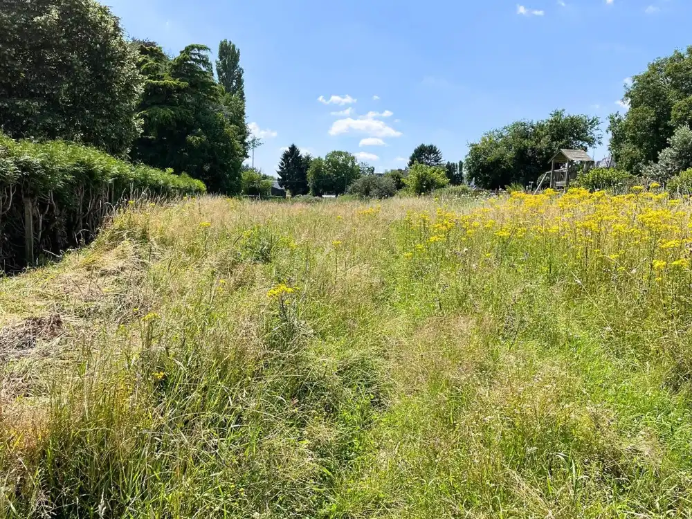 OB Bouwgrond van 19a24ca en Zuidgerichte tuin te koop in een landelijke en residentiële omgeving foto 2