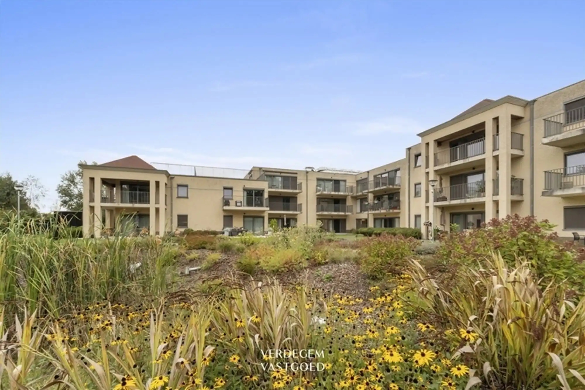 Comfortabel wonen met extra service: gelijkvloers assistentie-appartement met autostaanplaats foto 9