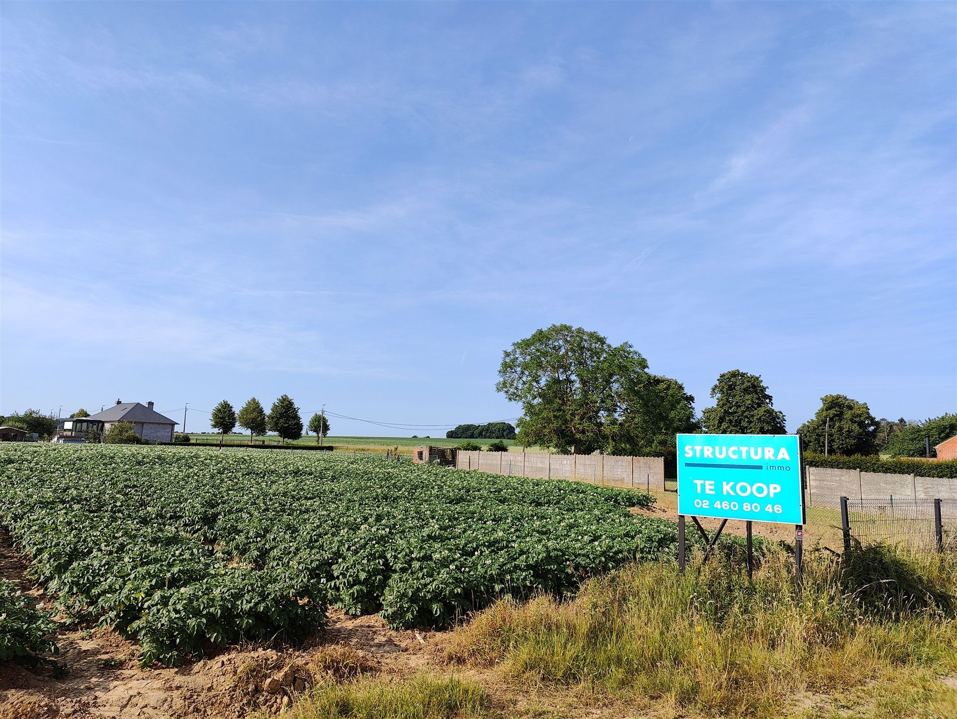 Bouwgrond voor open bebouwing in het groen foto {{pictureIndex}}