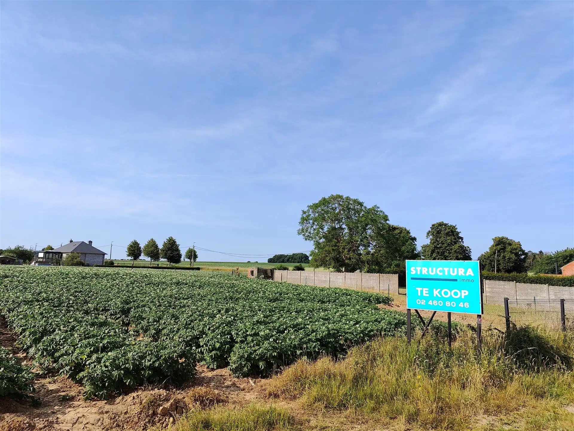 Bouwgrond voor open bebouwing in het groen foto {{pictureIndex}}