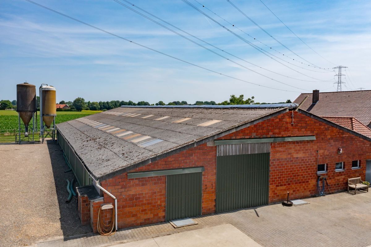 Hoeve met gronden te koop te Kinrooi foto 12