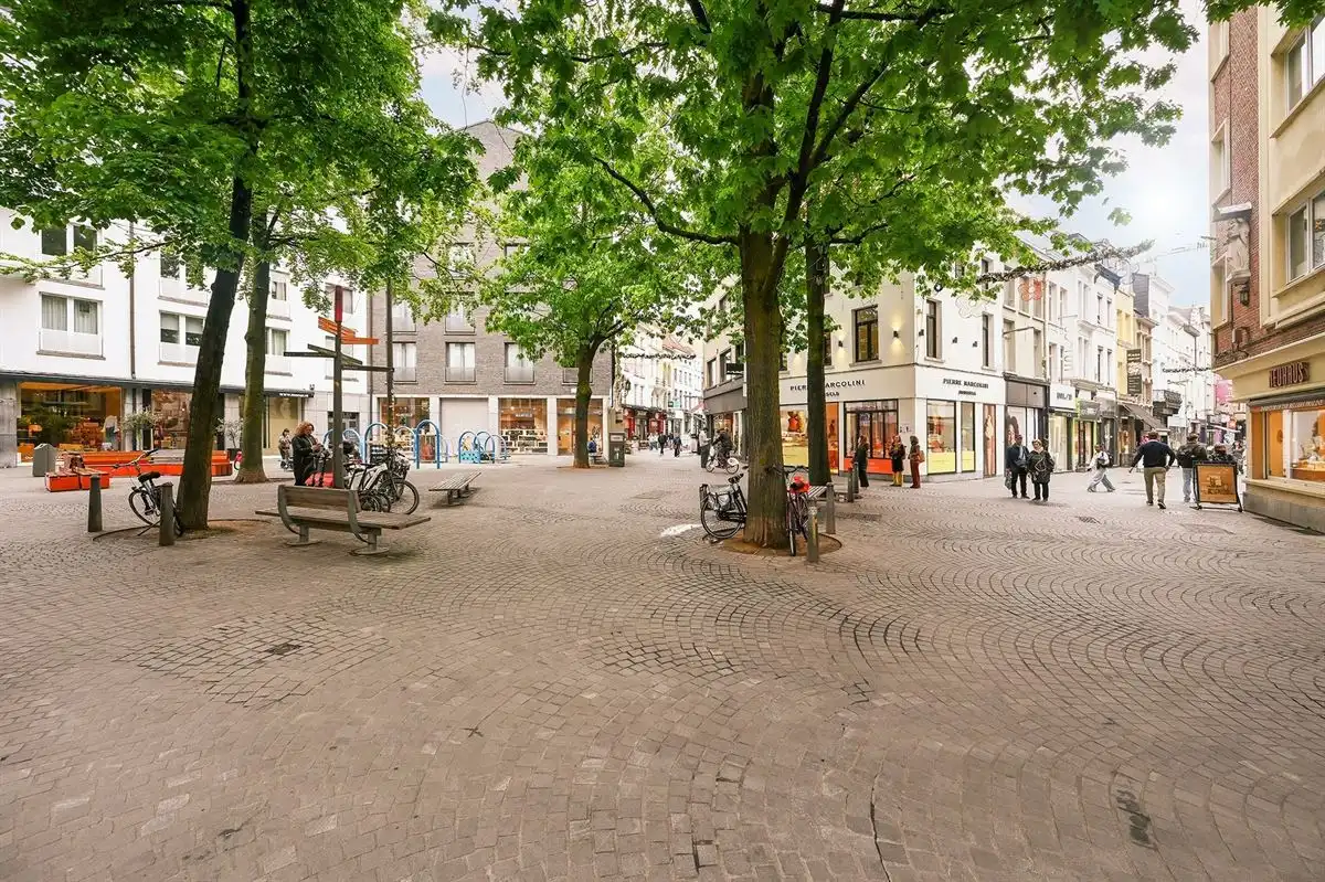 Op te frissen 2-slaapkamerappartement aan de Wilde Zee foto 39