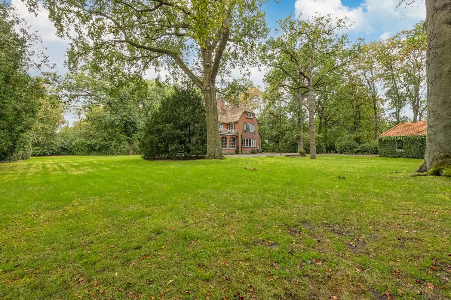 Karaktervolle te renoveren rietgedekte villa op een uitzonderlijk parkdomein van 13.670 m² in Vriesdonk (inclusief bouwgrond van ca. 4.543m²!) foto 8